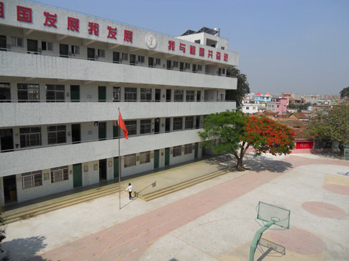 |ݸЖ|СW̌WACϘB̌WCӹ̹